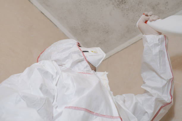 Best Professional Mold Removal  in Harbor Springs, MI